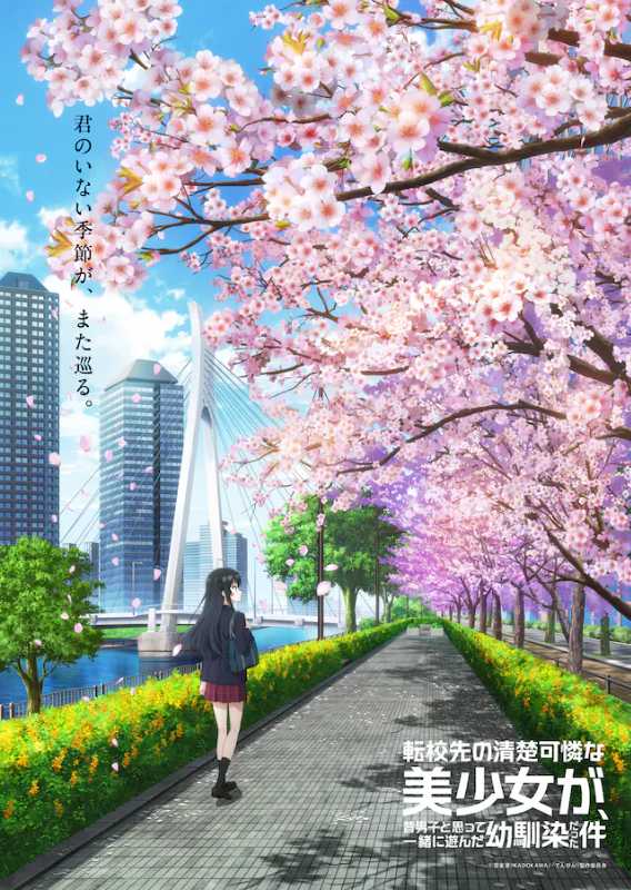 青梅竹马竟是美少女转学生？《转学后的清纯可爱挚友》公开樱花飞舞预告视觉图与全新宣传片
